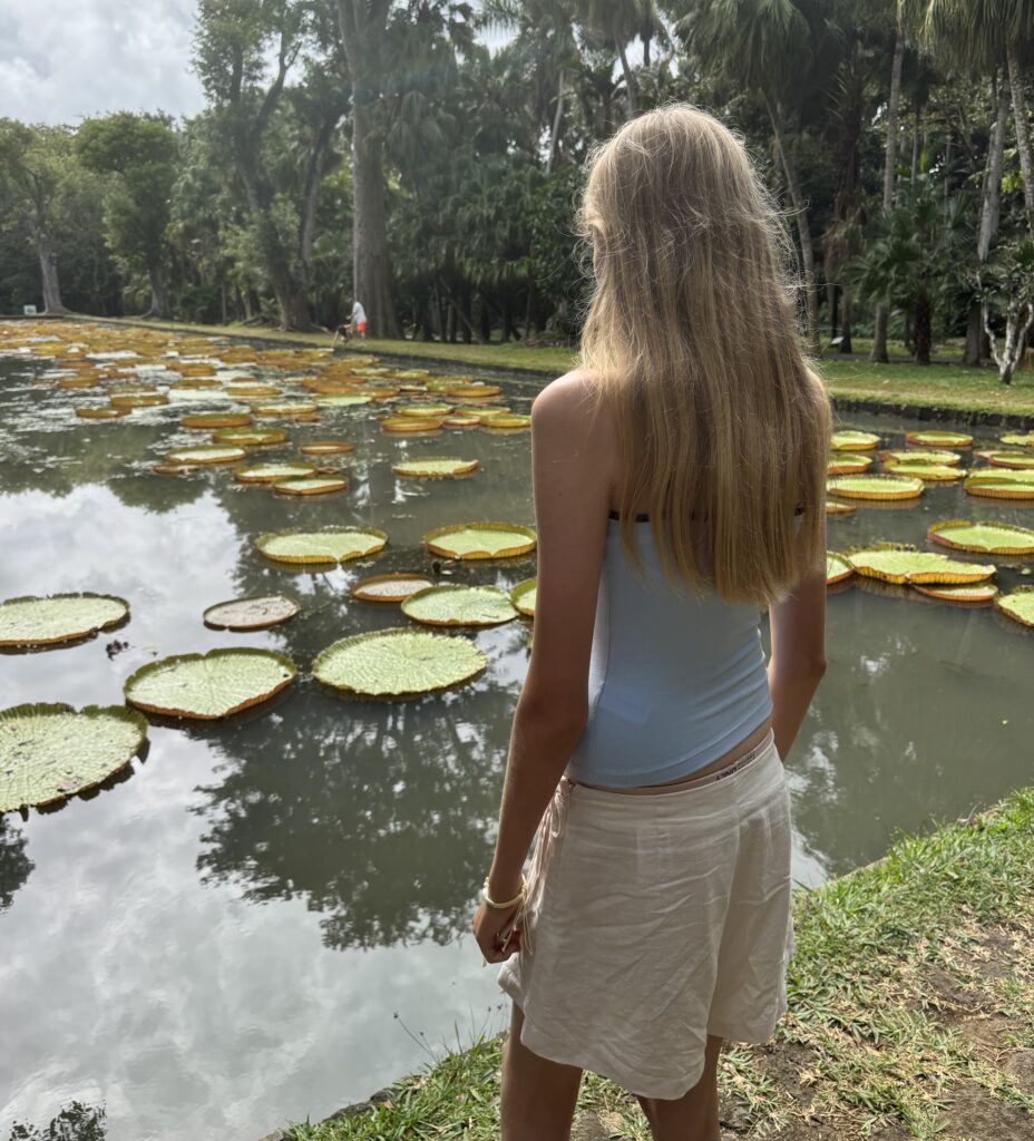 The giant water lilies at Pamplemousses botanical garden