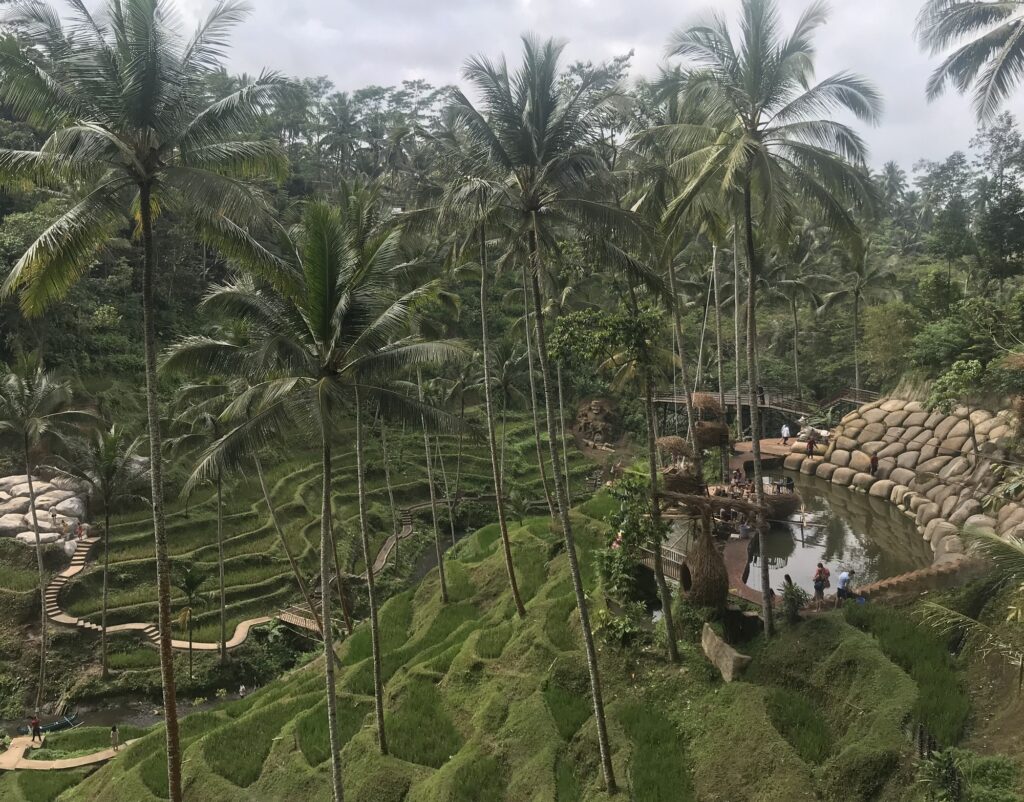 The rice terraces at Tegalalang in Ubud