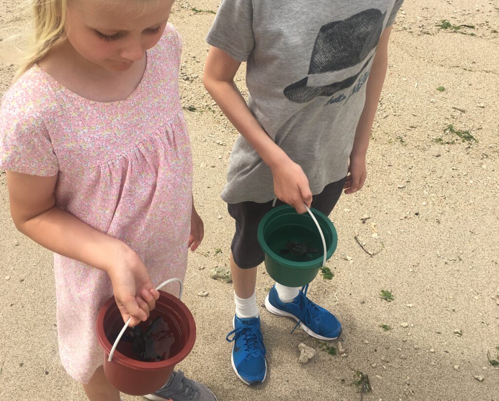 Ready to set our turtles free in the ocean
