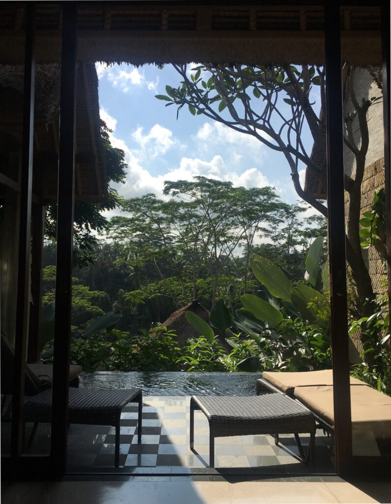 Bali with cildren - next stop a guide to Ubud