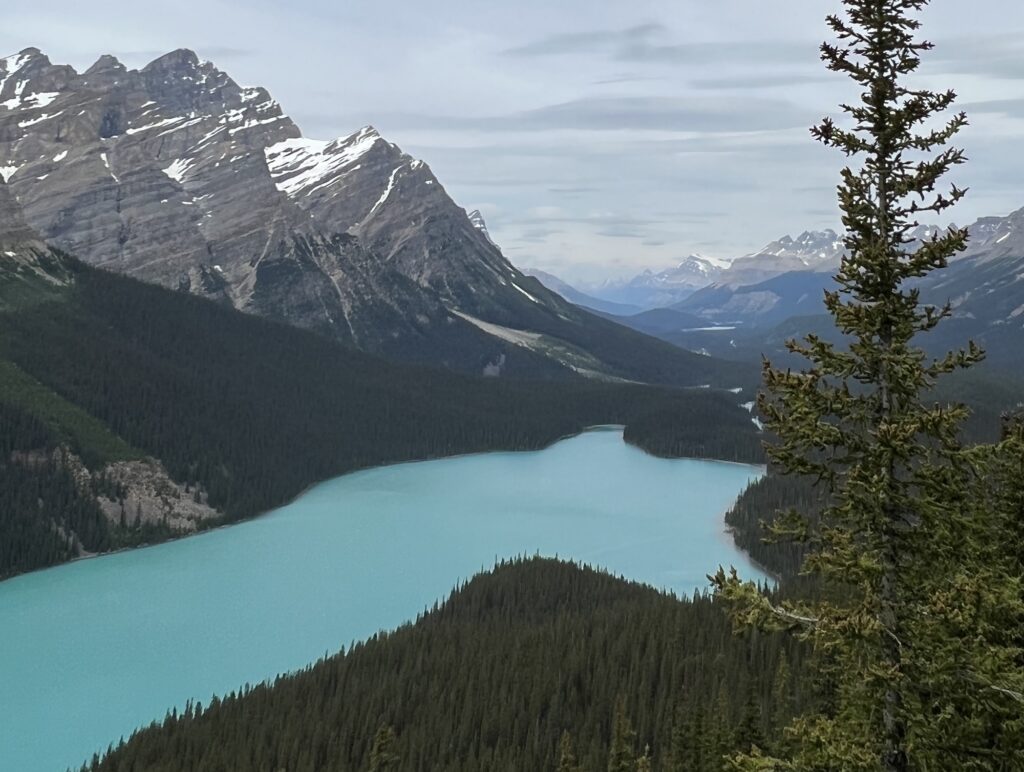 Peyto Lake in amazing Canada
