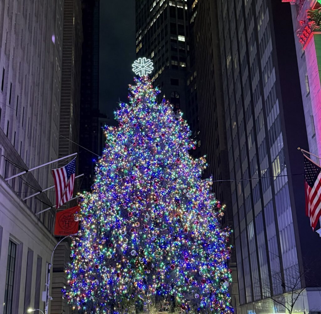 New York Guide - where to stay and what to eat